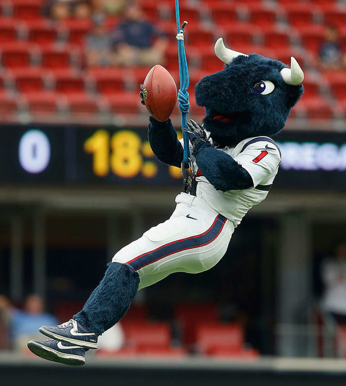 Houston-Texans-mascot-Toro.jpg